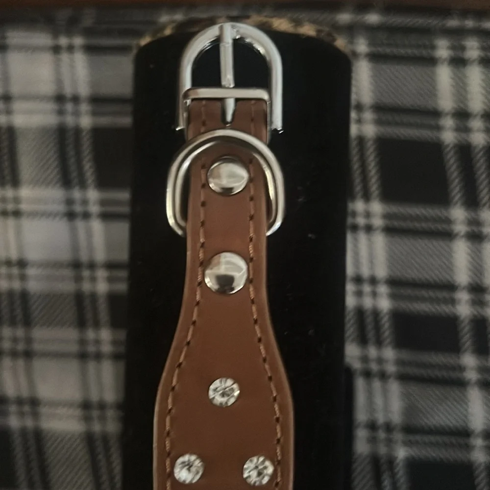 Dog Collar, Cute Flower Rhinestone Bling Collar